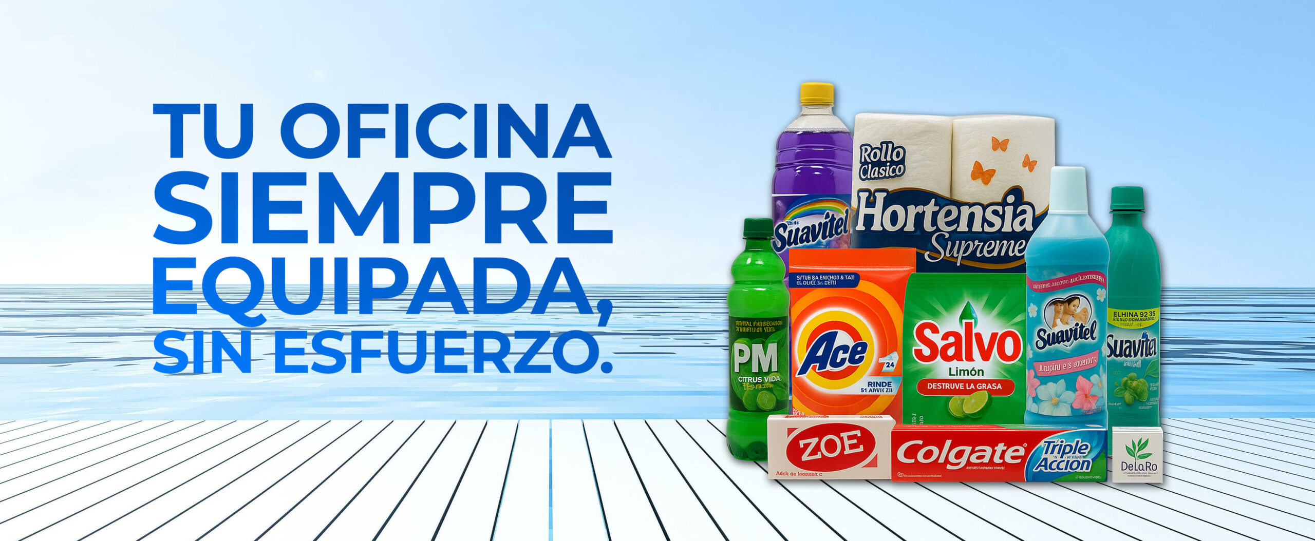 pagina web banners amenidades